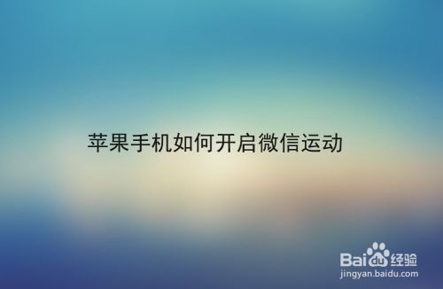 苹果手机怎么查询运动记录苹果手机照片突然不见了怎么回事-第2张图片-太平洋在线下载